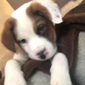 Meet your Posher, Jaclyn